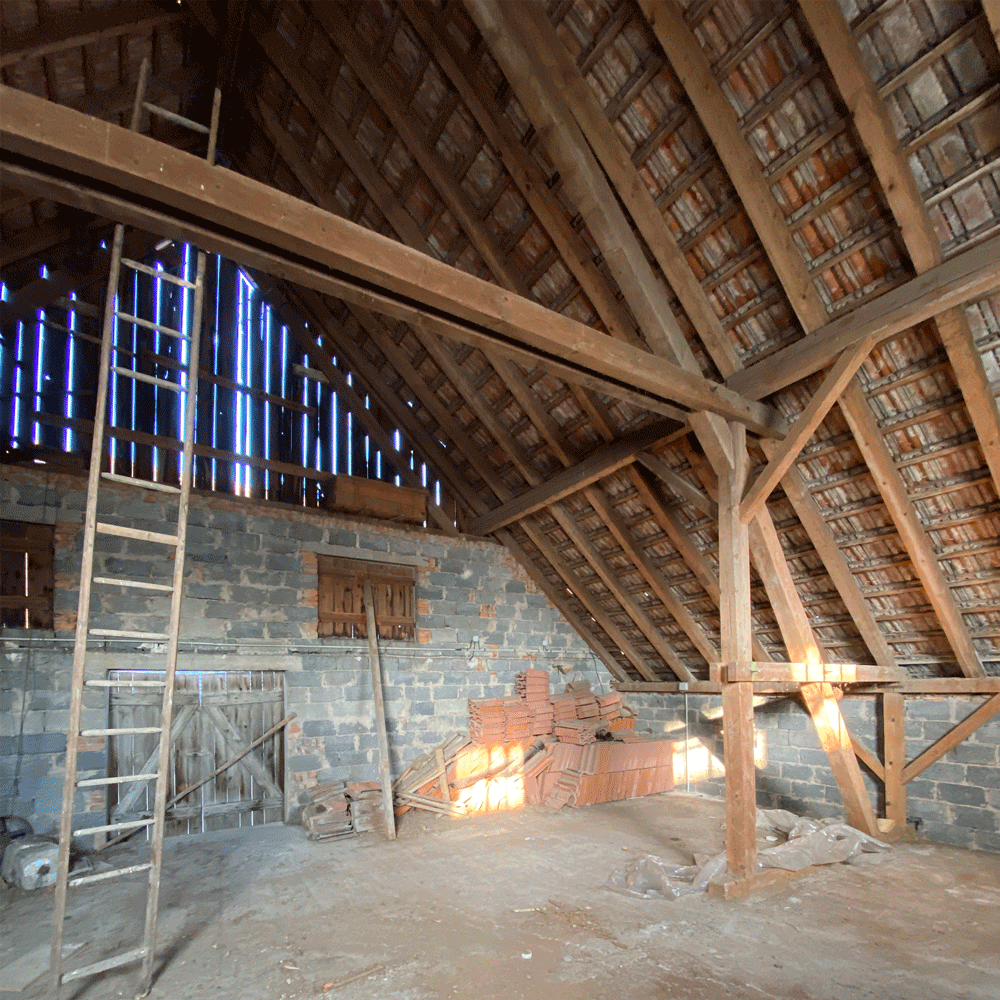 SURPRISE ARCHITECTE MEAET AVANT APRES BOUCHERIE RENOVATION EXTENSION REHBAILITATION FACADE ALSACE TRADITIONNEL FERME AUDITORIUM CHARPENTE